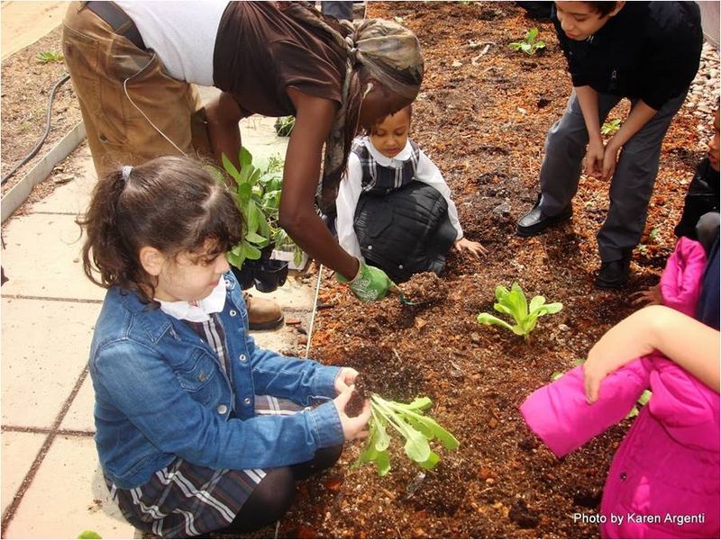 File:St. Simon Stock R.C. Elementary School Green Roof 5.jpg